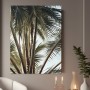 Palmenblätter im Sonnenlicht