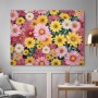 Bunte Margeritenblüten