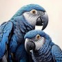 Blaue Aras im Porträt
