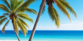 Tropische Palmen am Meer