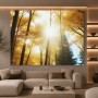 Goldener Herbstwald im Sonnenlicht