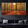 Herbstwald mit goldenem Licht