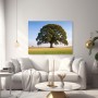 Majestätische Eiche im Feld – Leinwand Wandbild