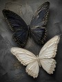 Kontrastreiche Schmetterlinge als Wandbild und Poster in Schwarz und Creme
