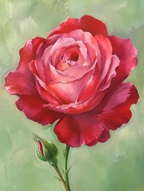 Rote Rose als Kunstwerk oder Poster für stilvolle Räume
