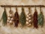 Rustikale Kräuter und Knoblauch, Leinwand oder Kunstdruck