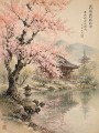 Kirschblüten am Tempel, Kunstdruck oder Gallery Print