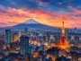 Tokyo Skyline mit Tokyo Tower als Poster oder Kunstwerk