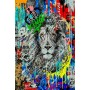 Löwe König lion Bild