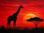 Giraffe im Sonnenuntergang, Wandbild oder Fine Art Print
