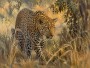 Leopard in der Savanne, Acrylbild oder Fine Art Print