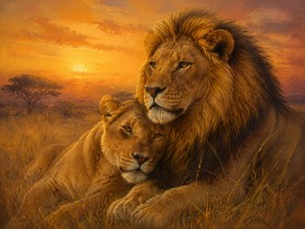Löwenpaar im Sonnenuntergang, Wandbild oder Fine Art Print