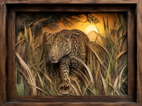 Leopard im Schilf als Wandbild oder Leinwandbild