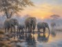 Elefanten am Wasser im Morgenlicht, Leinwand oder Fine Art Print
