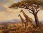 Giraffen in der Savanne, Kunstdruck oder Leinwandbild