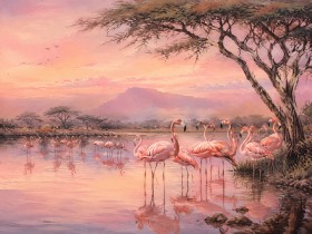 Flamingos im Abendlicht, Kunstdruck oder Leinwandbild