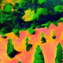 Baum-Farm