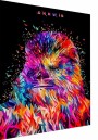 Chewie Abstrakt