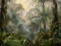 Tropischer Regenwald als Wandbild oder Fine Art Print