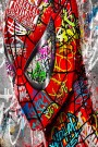 Spider-Man Spinne Pop Art