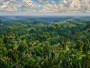 Tropische Waldlandschaft als Leinwand oder Poster mit weiter Tiefenwirkung