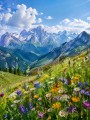 Alpine Bergwiese zwischen Himmel und Gipfeln, Leinwand oder Poster