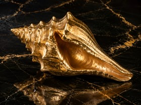 Goldene Muschel auf dunklem Marmor, Leinwand oder Acryl Goldene Muschel auf dunklem Marmor, Leinwand oder Acryl