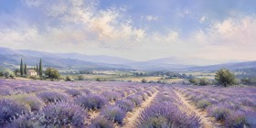 Lavendelfeld im Licht, als Leinwand oder Fine Art Print Lavendelfeld im Licht, als Leinwand oder Fine Art Print