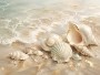 Maritime Muscheln als Leinwand oder Kunstdruck für helle Räume