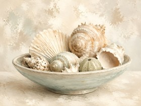 Muschelstillleben als Wandbild oder Kunstdruck für helle Räume