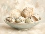 Muschelstillleben als Wandbild oder Kunstdruck für helle Räume