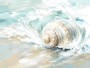 Muschel im Meer als Leinwand oder Poster