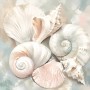 Muscheln in Pastell als Leinwand oder Poster für ruhige Räume