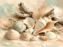 Muscheln und Treibholz als Leinwand oder Poster für helle Küstenräume