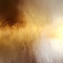 Schattenspiel der Emotionen - Panorama