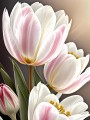 Tulpen