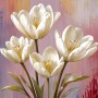 Vier Tulpen