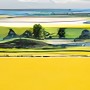 Weizenfeld